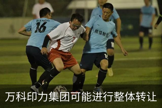 万科印力集团可能进行整体转让