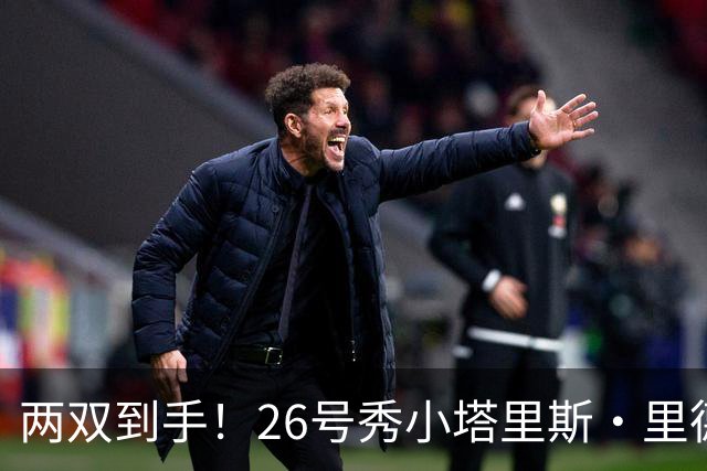 两双到手！26号秀小塔里斯·里德9中5拿到14分10板 罚球2中2