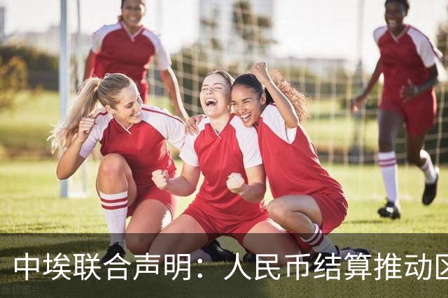 中埃联合声明：人民币结算推动区域合作新格局