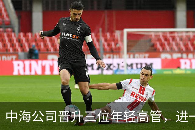 中海公司晋升三位年轻高管，进一步提升组织结构