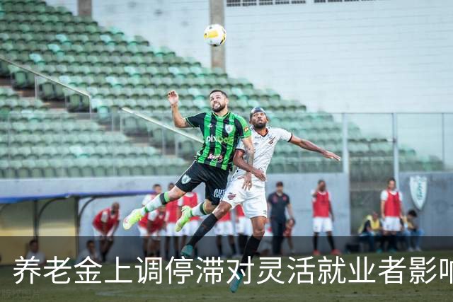 养老金上调停滞对灵活就业者影响更大