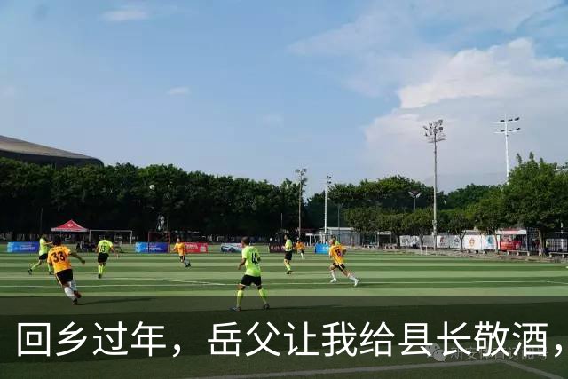 回乡过年，岳父让我给县长敬酒，我的真实身份被揭晓