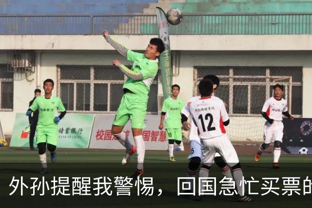 外孙提醒我警惕，回国急忙买票的惊险经历