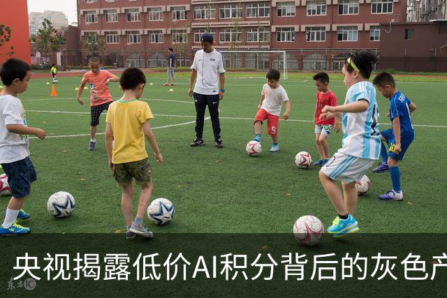 央视揭露低价AI积分背后的灰色产业链