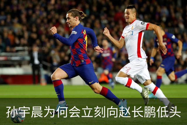 孙宇晨为何会立刻向赵长鹏低头