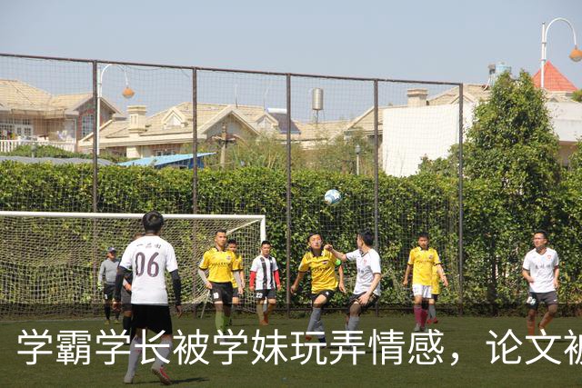 学霸学长被学妹玩弄情感，论文被夺后反击成功