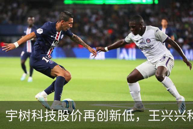 宇树科技股价再创新低，王兴兴称人形机器人普及尚需时日