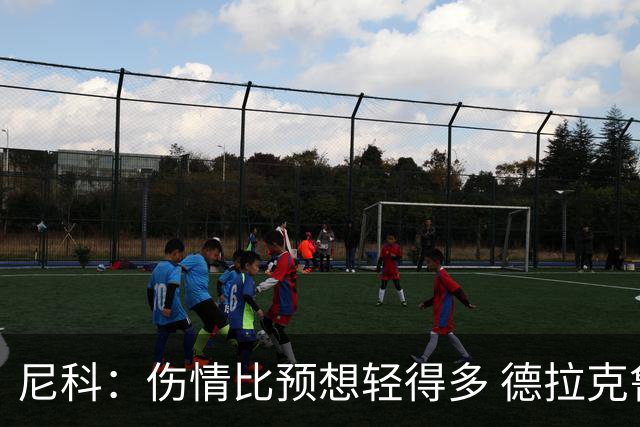 尼科：伤情比预想轻得多 德拉克鲁兹没道歉但我不在乎