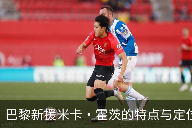巴黎新援米卡·霍茨的特点与定位解析