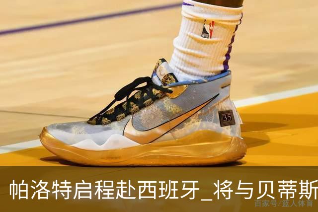 帕洛特启程赴西班牙 将与贝蒂斯完成转会