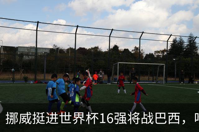 挪威挺进世界杯16强将战巴西，哈兰德发声