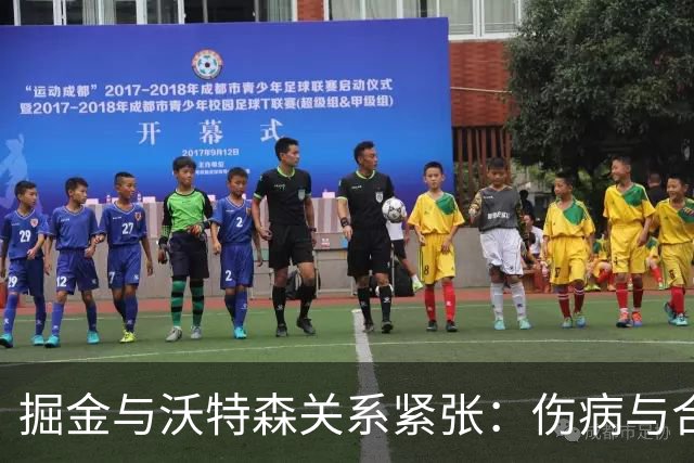 掘金与沃特森关系紧张：伤病与合同成分歧焦点
