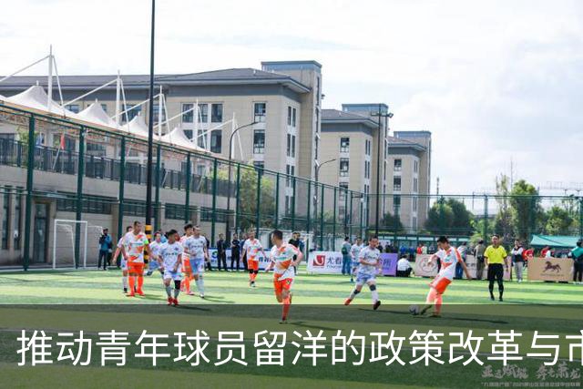 推动青年球员留洋的政策改革与市场激励