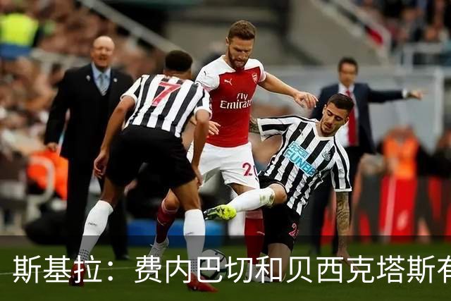 斯基拉：费内巴切和贝西克塔斯有意卢卡库，那不勒斯要价1000万欧