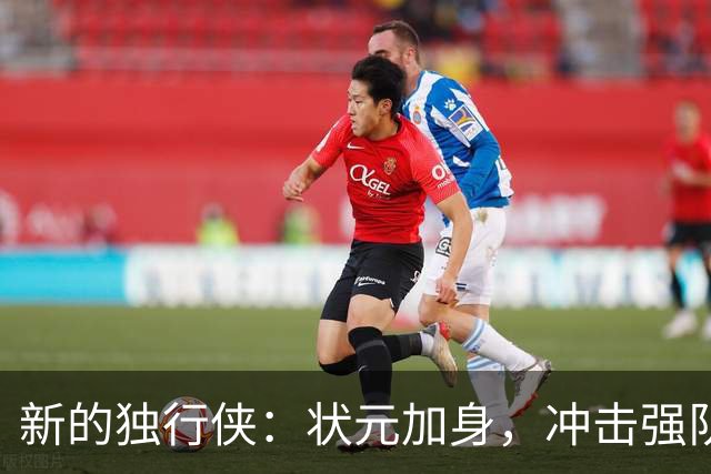 新的独行侠：状元加身，冲击强队之路