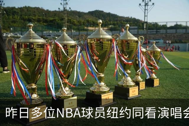 昨日多位NBA球员纽约同看演唱会：老詹塔图姆在内场 米切尔在看台