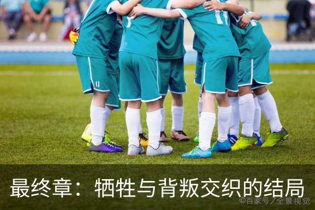 最终章：牺牲与背叛交织的结局