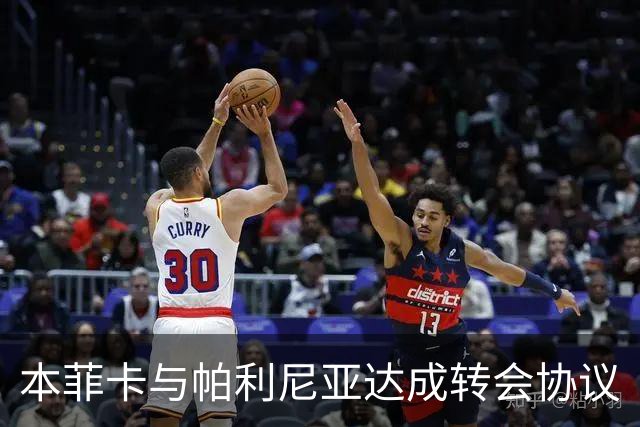 本菲卡与帕利尼亚达成转会协议