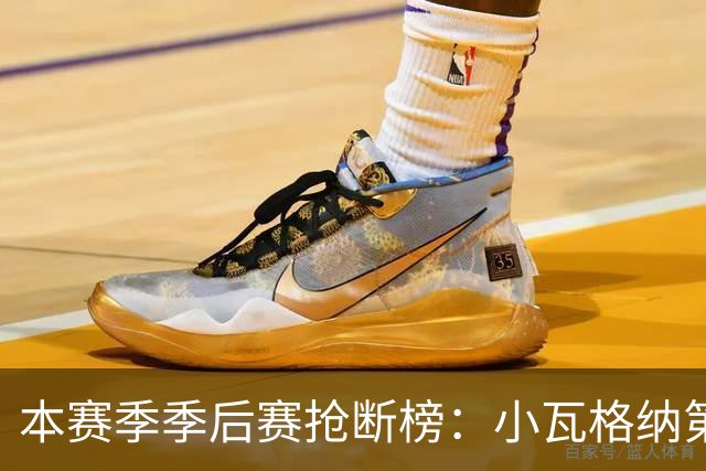 本赛季季后赛抢断榜：小瓦格纳第一 斯玛特第三 谢泼德第四