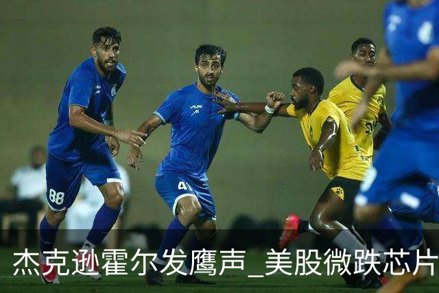 杰克逊霍尔发鹰声 美股微跌芯片股大幅回落