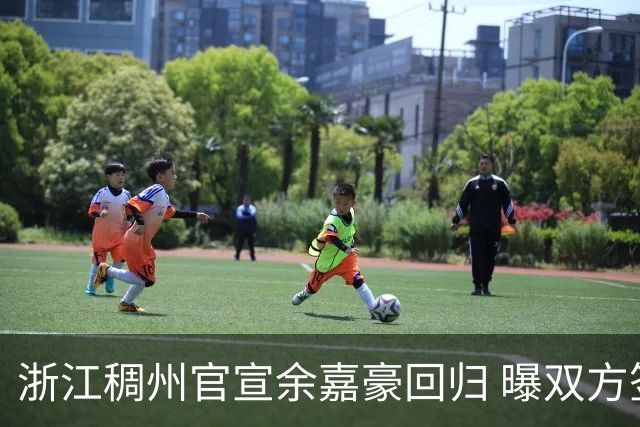 浙江稠州官宣余嘉豪回归 曝双方签下4年B类合约