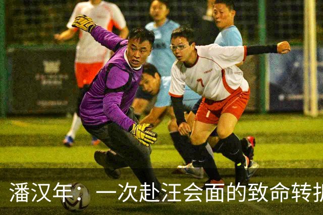 潘汉年：一次赴汪会面的致命转折