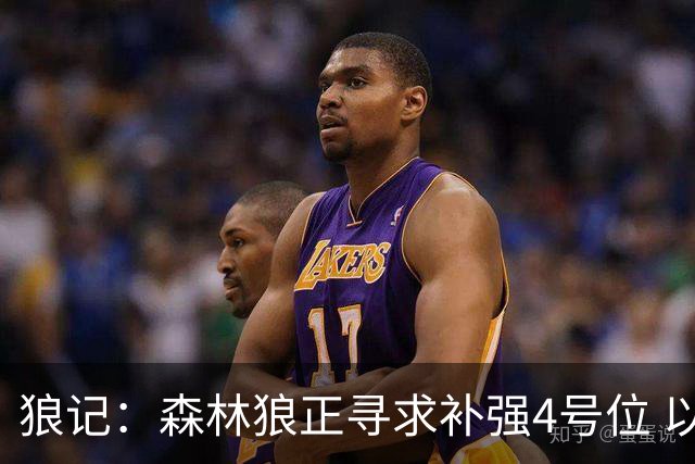 狼记：森林狼正寻求补强4号位 以及增加外线投射火力
