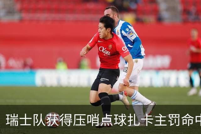 瑞士队获得压哨点球扎卡主罚命中 瑞士队4-1领先波黑