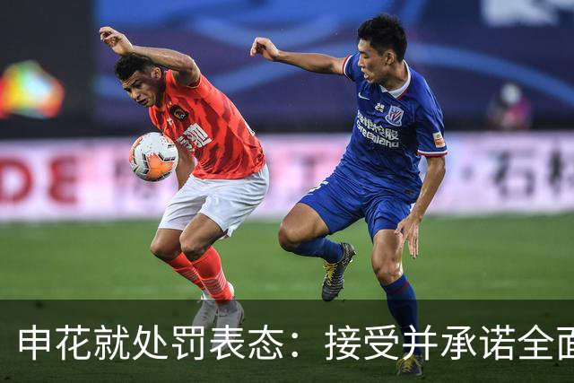申花就处罚表态：接受并承诺全面整改