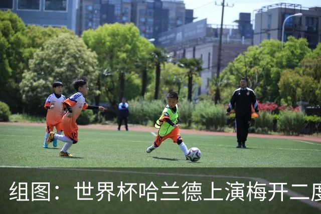 组图：世界杯哈兰德上演梅开二度 开心庆祝