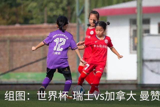 组图：世界杯-瑞士vs加拿大 曼赞比右脚劲射破门