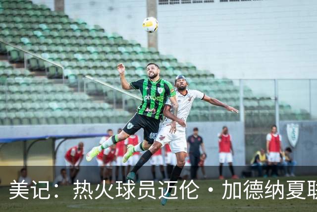 美记：热火球员迈伦·加德纳夏联遭遇左脚踝扭伤 预计缺席1-3周
