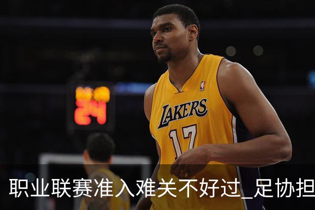职业联赛准入难关不好过 足协担心并不是多余