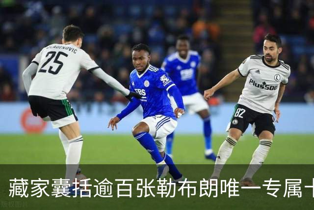 藏家囊括逾百张勒布朗唯一专属卡