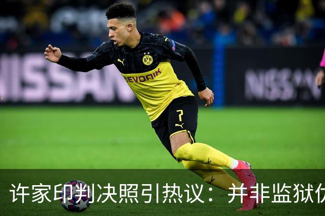 许家印判决照引热议：并非监狱优待