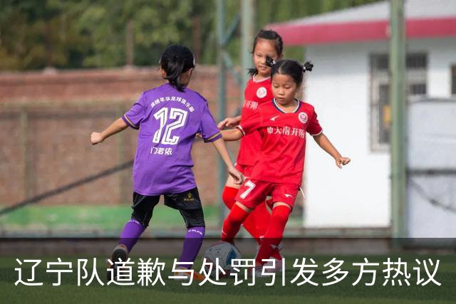 辽宁队道歉与处罚引发多方热议