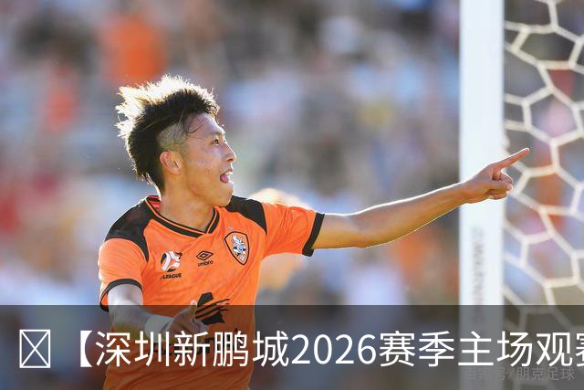 🔥【深圳新鹏城2026赛季主场观赛指南来啦！】🏟️ ——NO.10