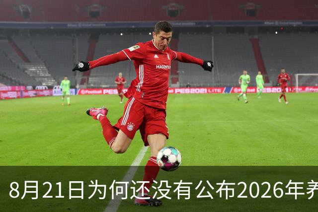 8月21日为何还没有公布2026年养老金调整消息？