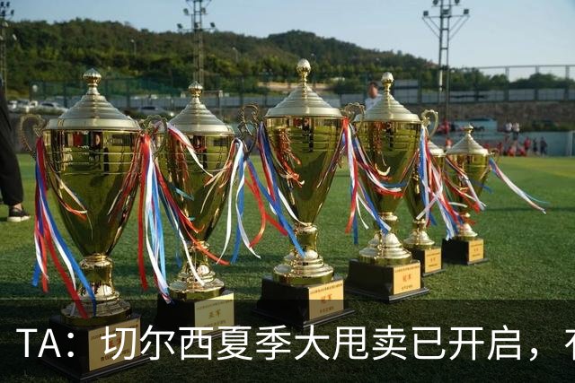 TA：切尔西夏季大甩卖已开启，有望再次达到去年3亿镑的销售额